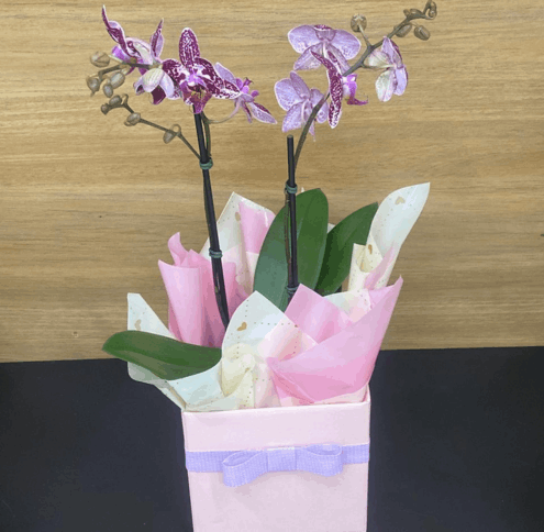 Vaso de Flores para Presente BH, Belo Horizonte.