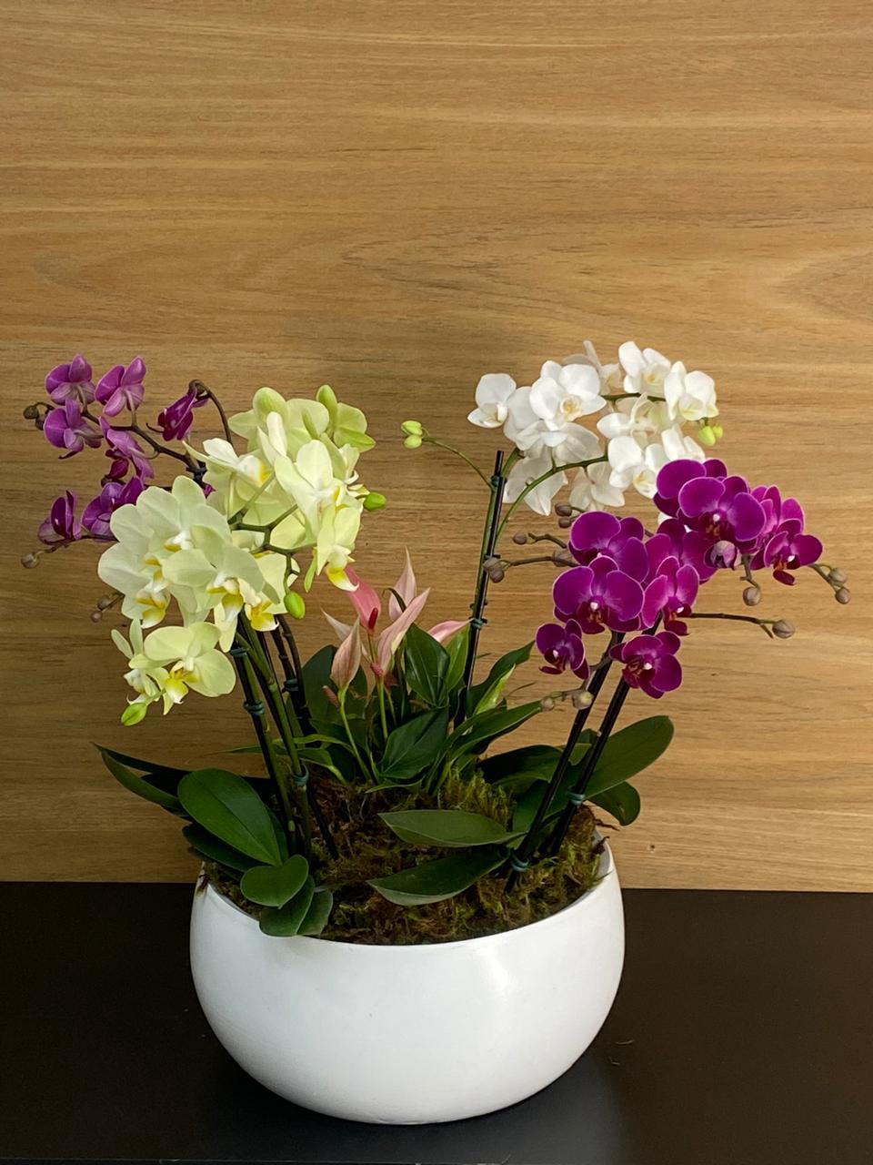 Vaso de planta para Decoração em Presente BH Flores Coloridas